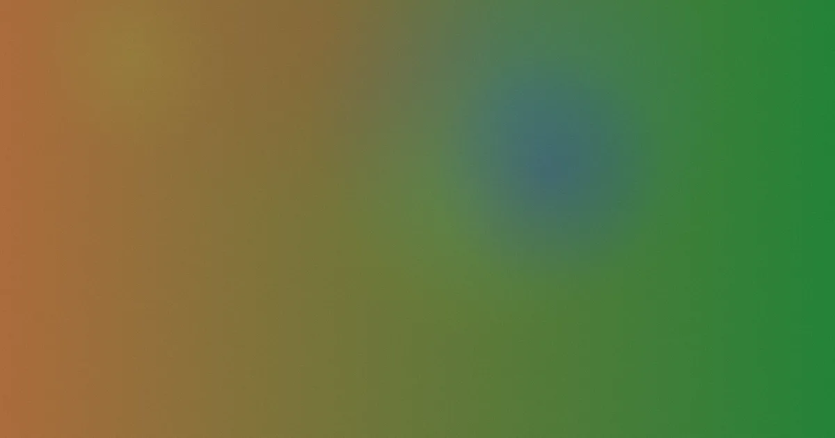恋爱flops值得吗？先看这份清单